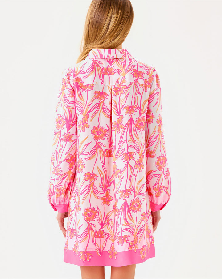 Iralanne Long Sleeve Popover Dress