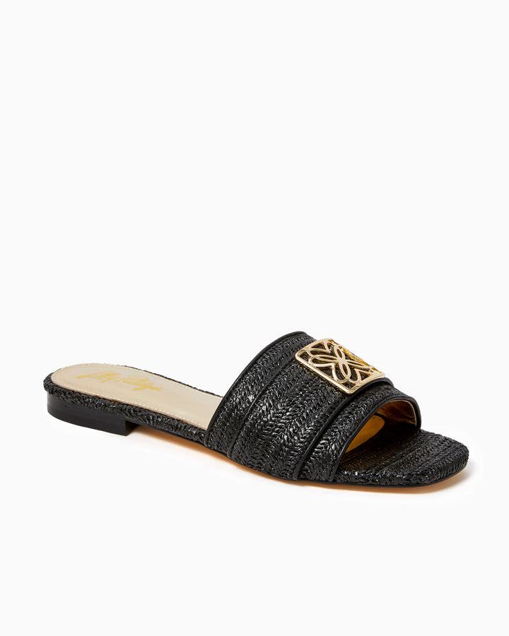 Dayna Sandal - Noir