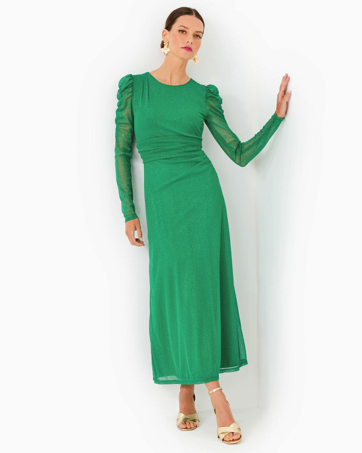 Preslie Long Sleeve Mesh Midi Dress