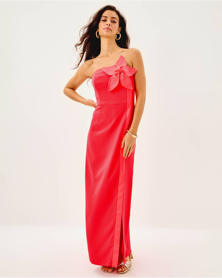 Anasophia Maxi Dress