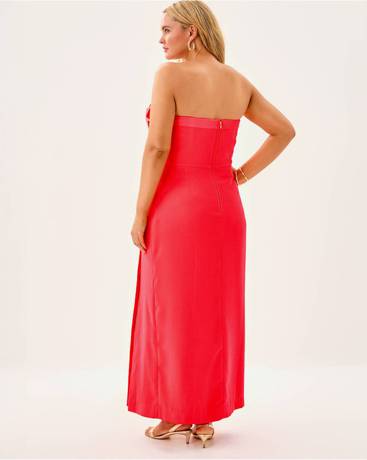 Anasophia Maxi Dress