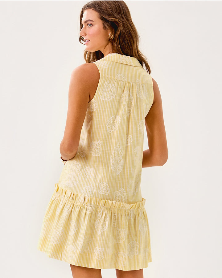 Caylinn Sleeveless Popover Dress