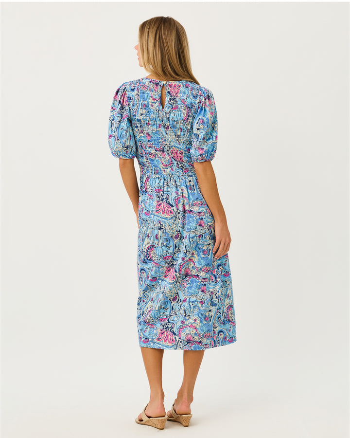 Lucila Midi Dress - Multi Paisley Parade