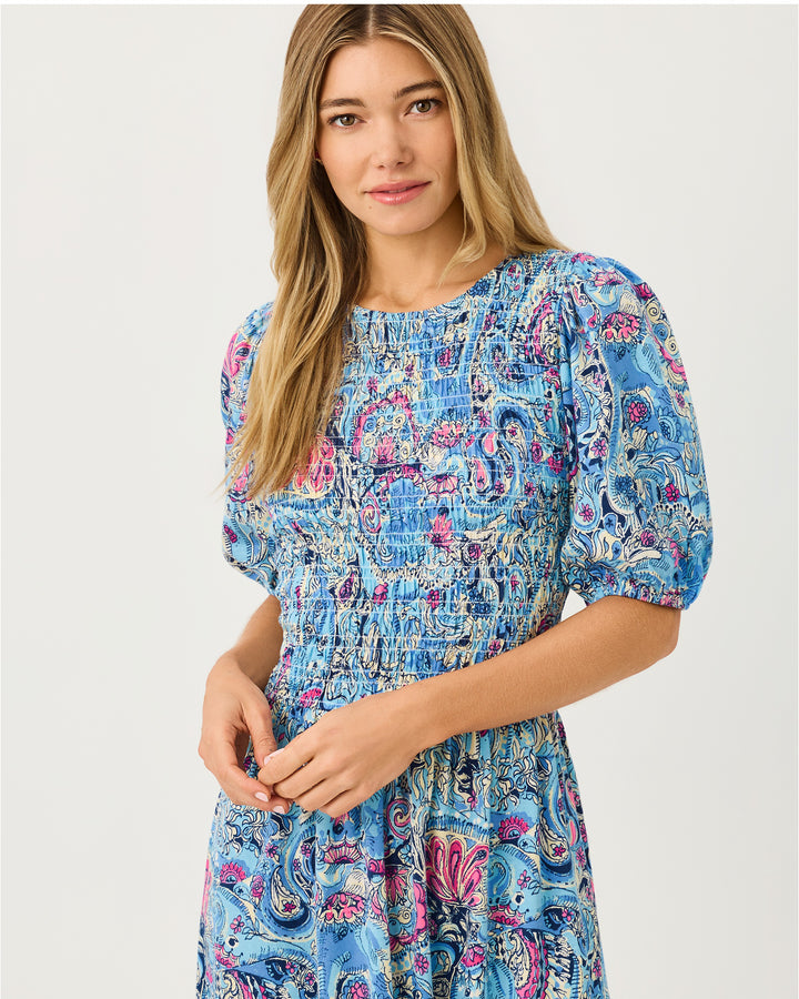Lucila Midi Dress - Multi Paisley Parade