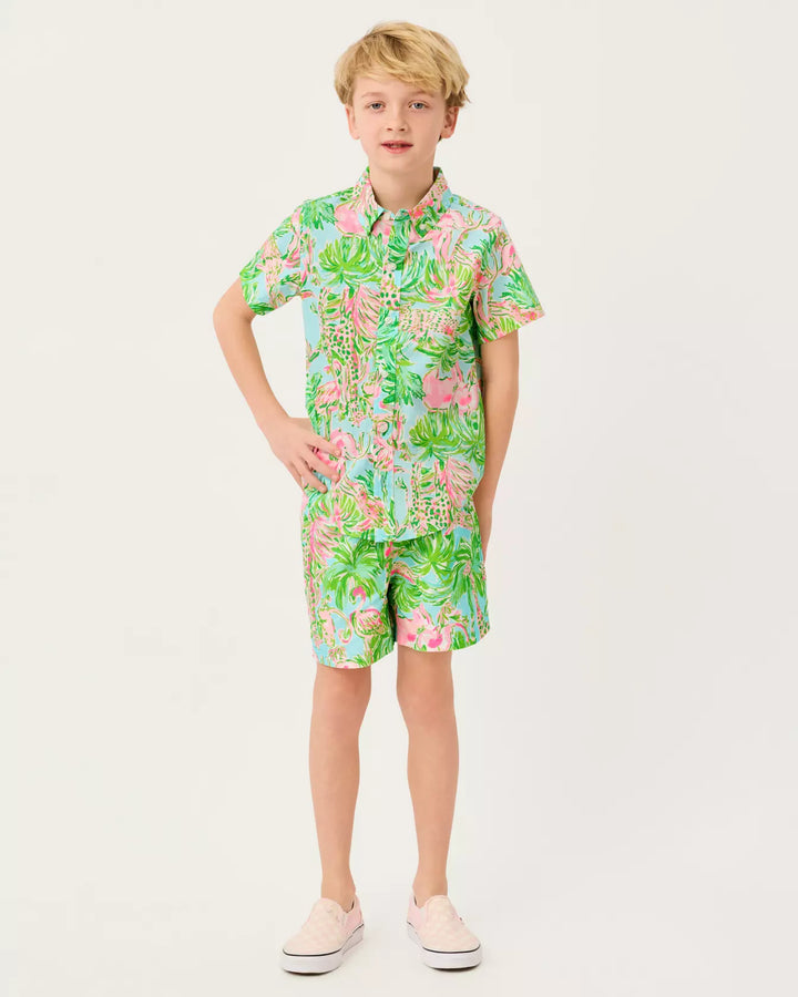 Lavin Button Down Shirt