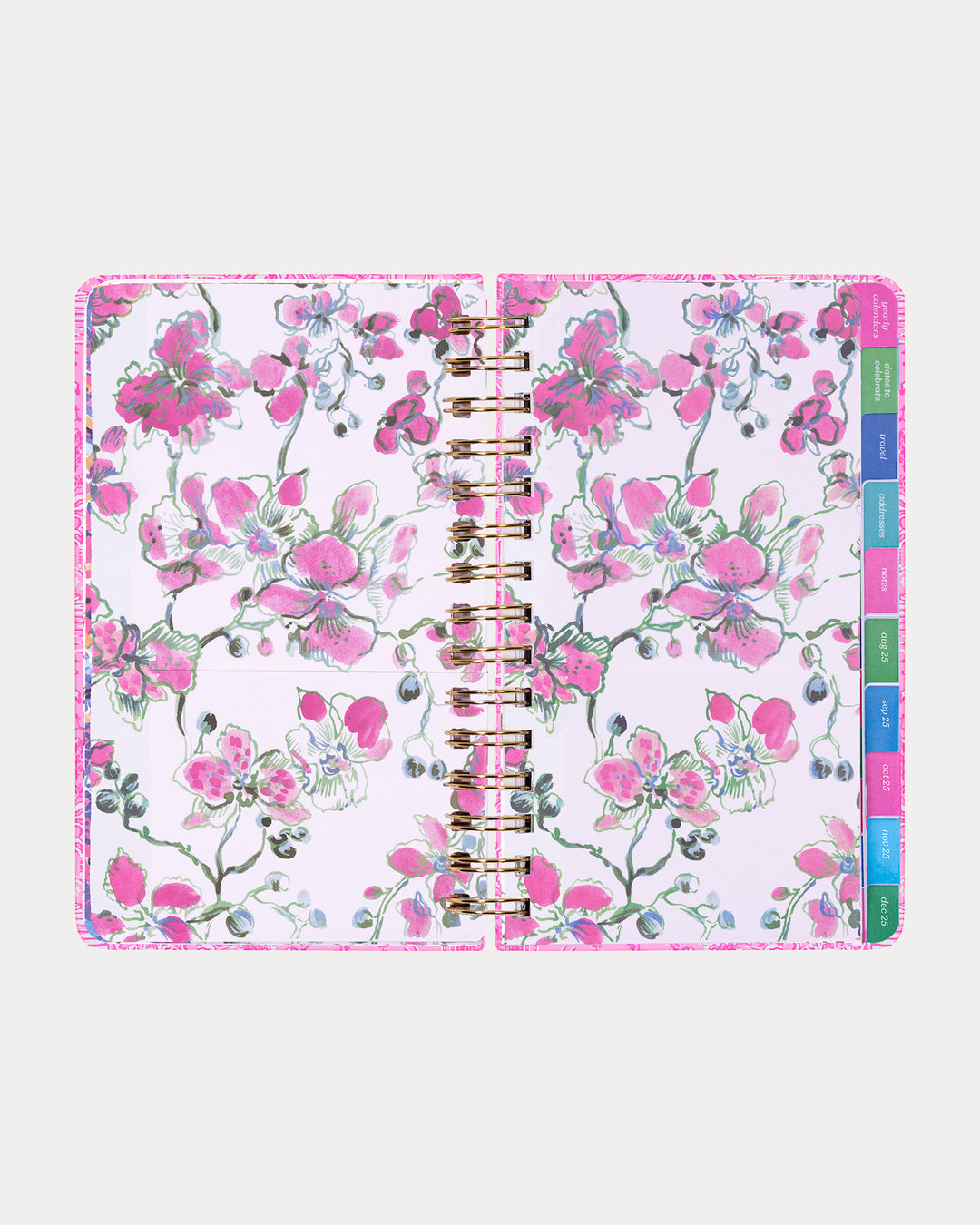2025-2026 17 Month Medium Agenda - Conch Shell Pink Pb Playground