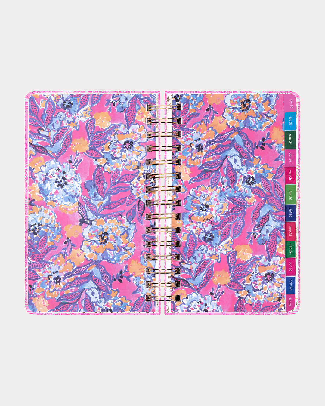 2025-2026 17 Month Medium Agenda - Conch Shell Pink Pb Playground