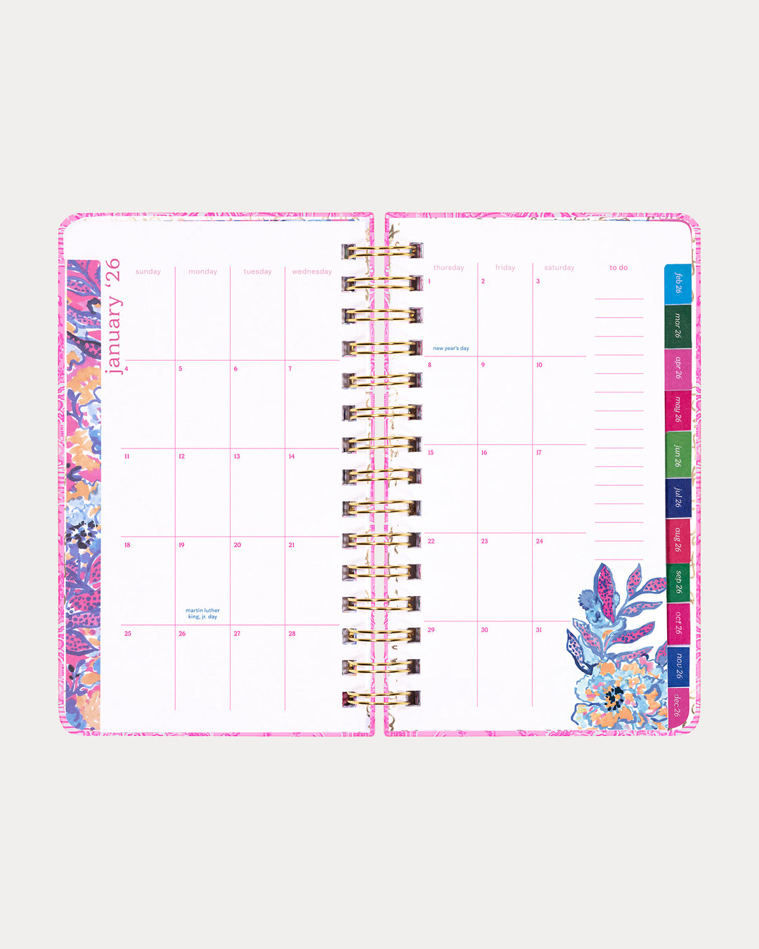 2025-2026 17 Month Medium Agenda - Conch Shell Pink Pb Playground