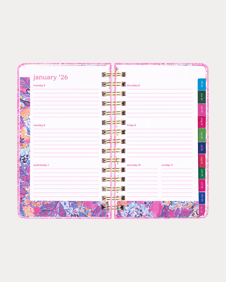 2025-2026 17 Month Medium Agenda - Conch Shell Pink Pb Playground