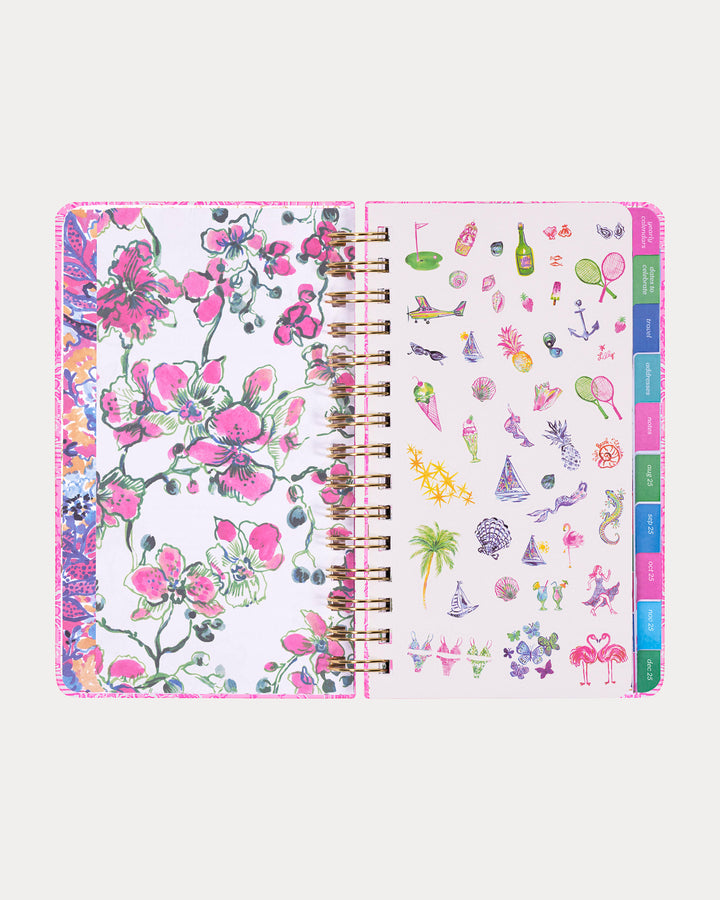 2025-2026 17 Month Medium Agenda - Conch Shell Pink Pb Playground
