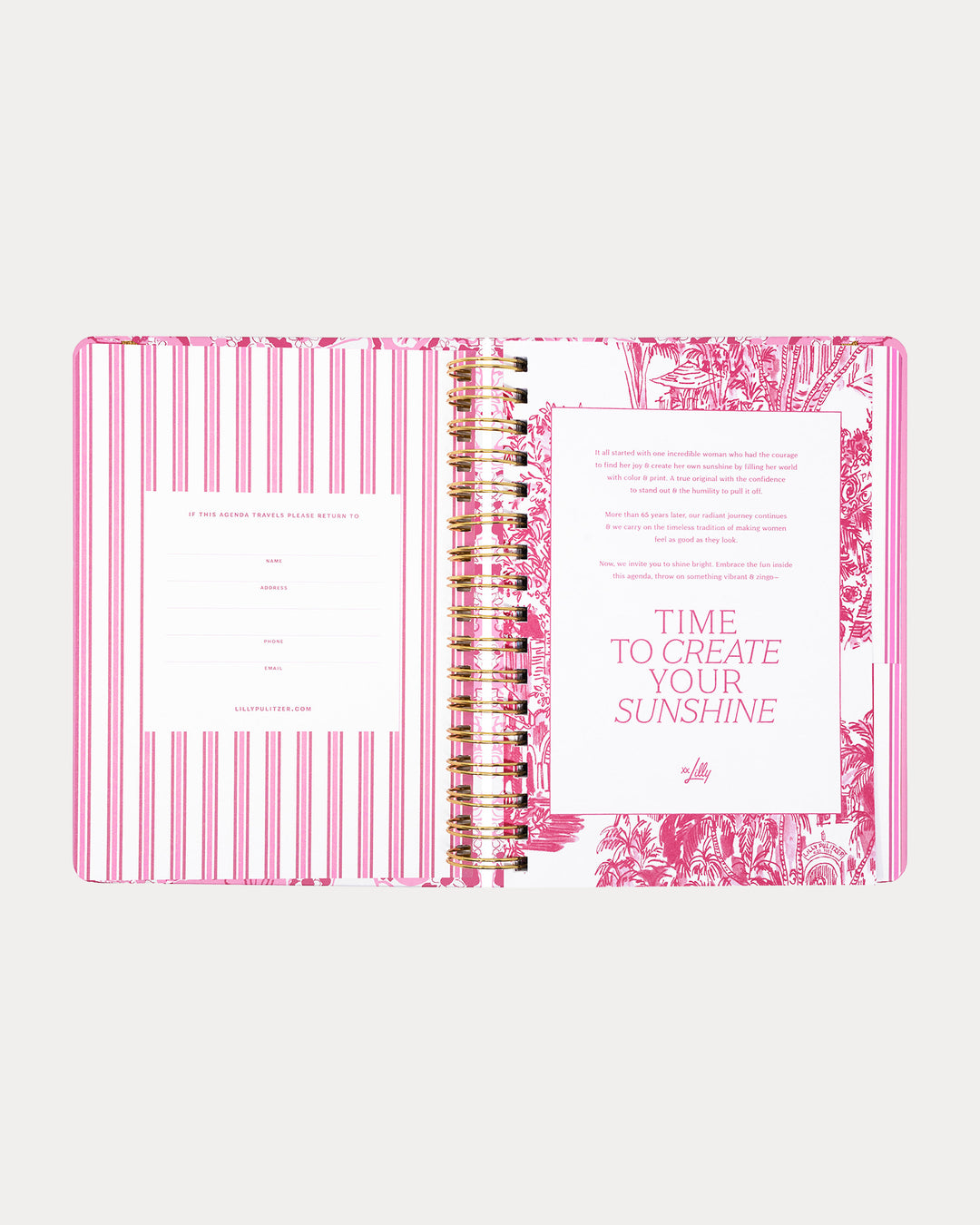 Large 17 Month Agenda - Conch Shell Pink Burst Of Joy