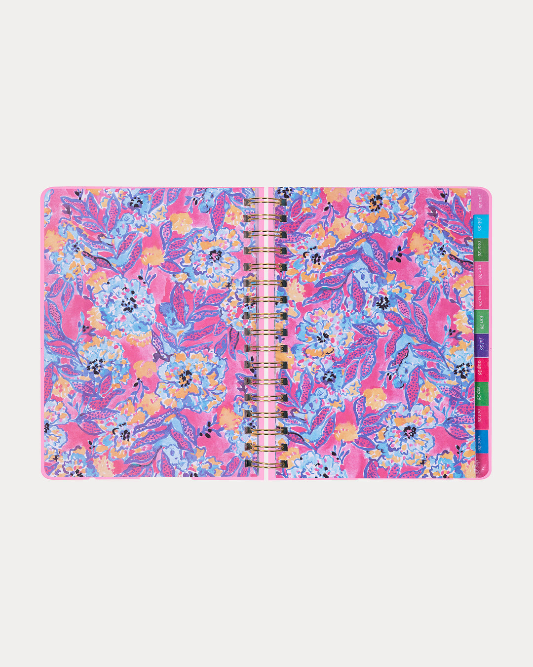 Large 17 Month Agenda - Conch Shell Pink Pb Playground