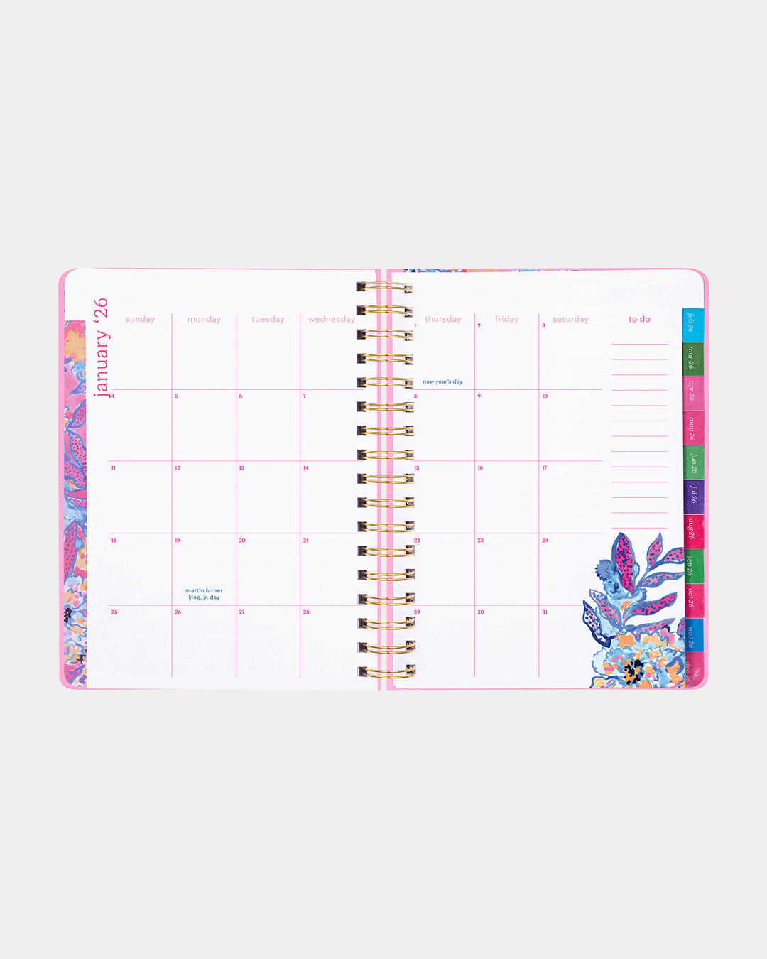 Large 17 Month Agenda - Conch Shell Pink Pb Playground