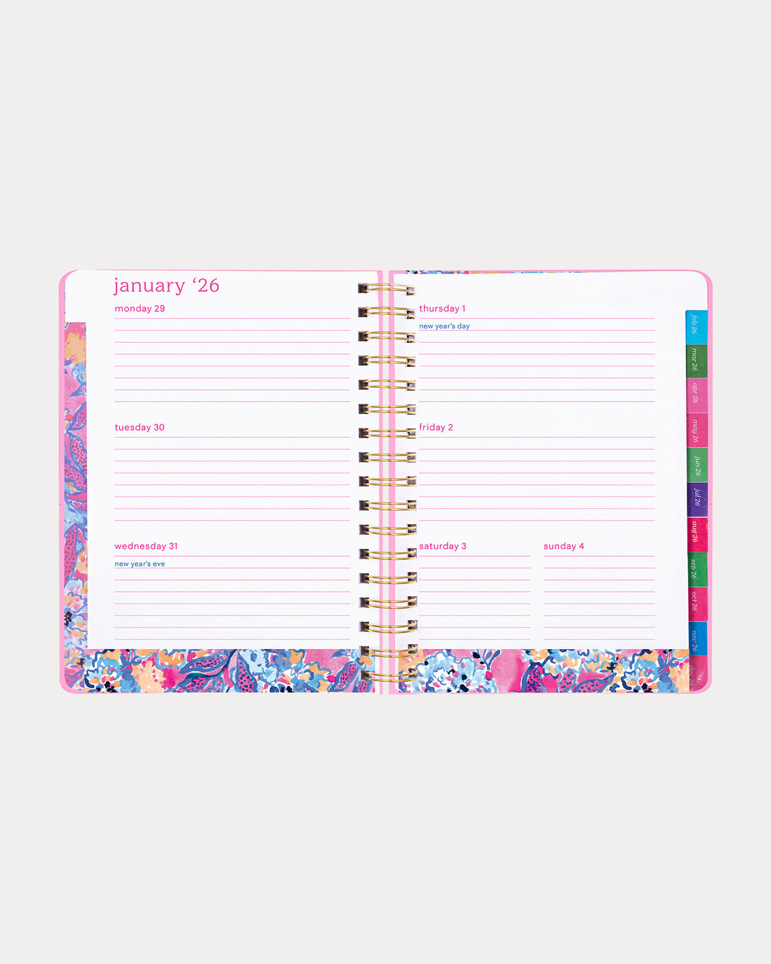 Large 17 Month Agenda - Conch Shell Pink Pb Playground