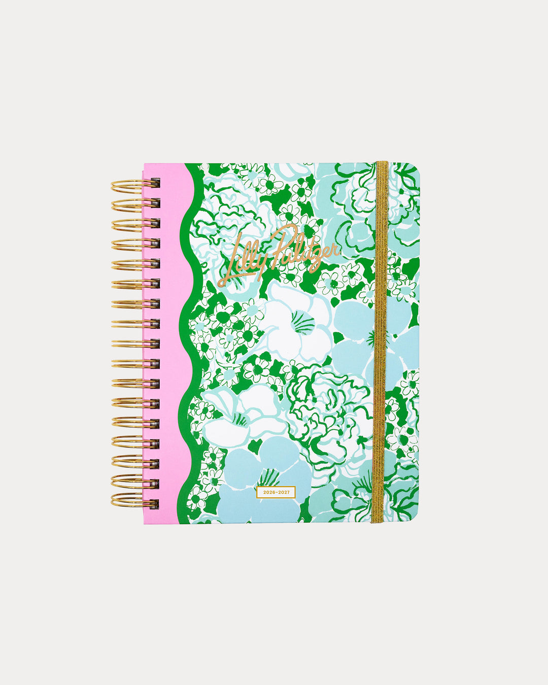 Large 17 Month Agenda -  Mint Condition Burst Of Joy