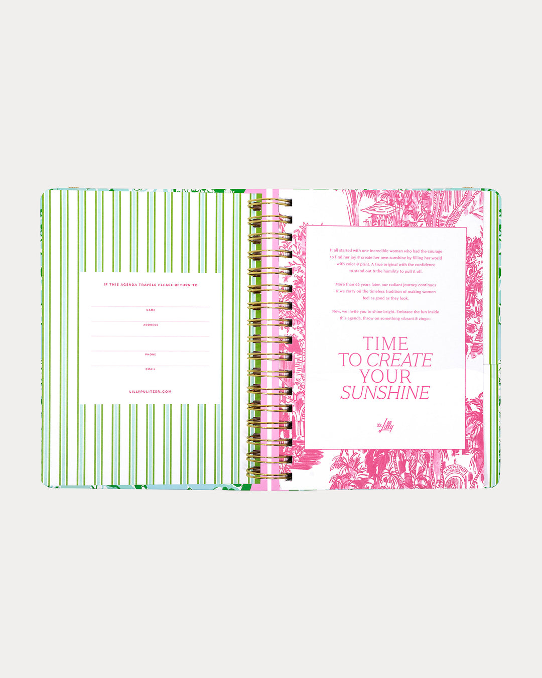 Large 17 Month Agenda -  Mint Condition Burst Of Joy