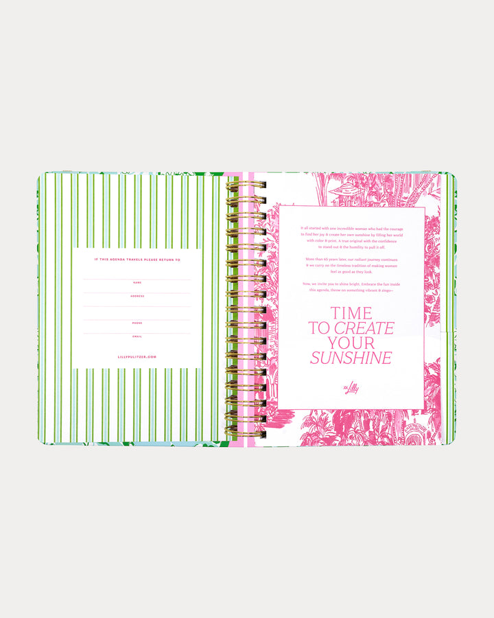 Large 17 Month Agenda -  Mint Condition Burst Of Joy