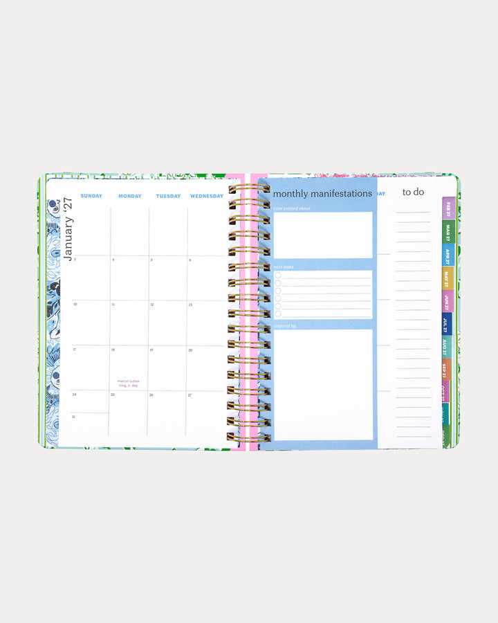 Large 17 Month Agenda -  Mint Condition Burst Of Joy